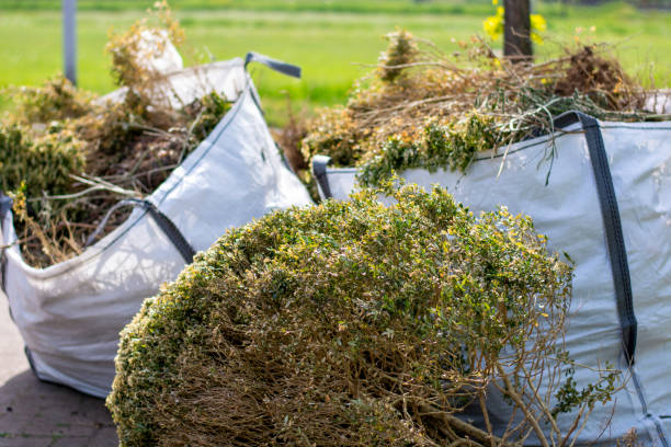 Best Basement Cleanout Services  in Ambridge, PA