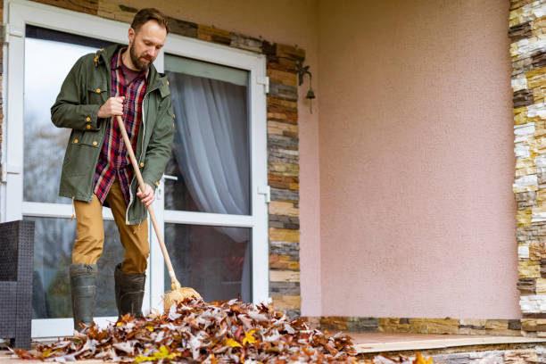 Best Trash Removal Near Me  in Ambridge, PA